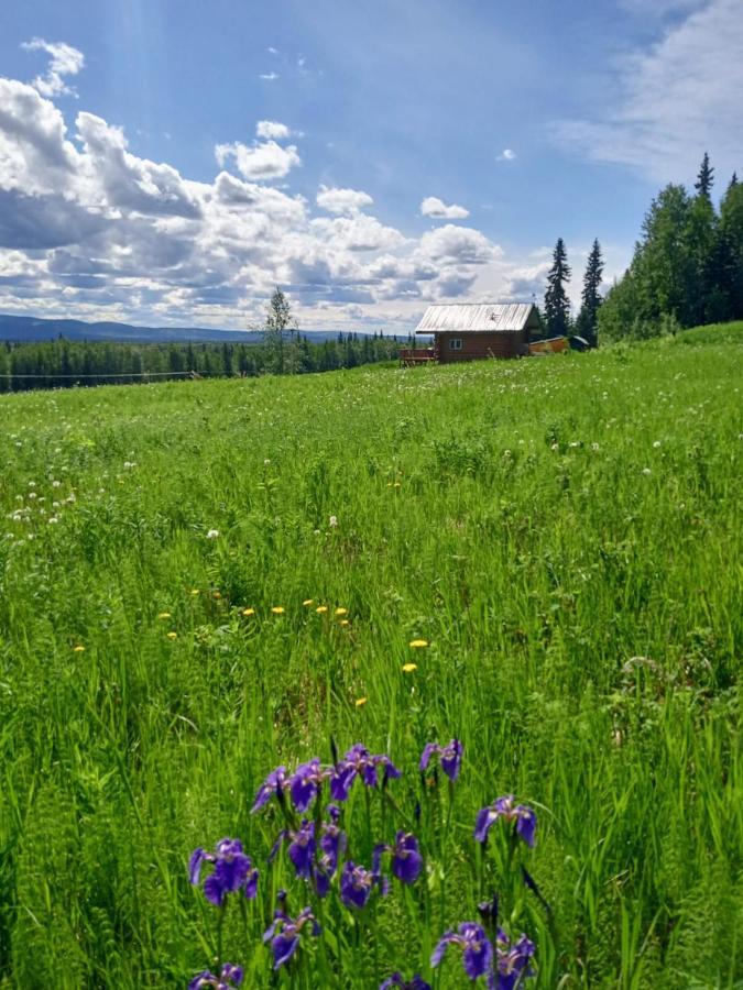 Secluded Log Cabin, 30 Min From Chena Hot Springs Pleasant Valley Exterior foto